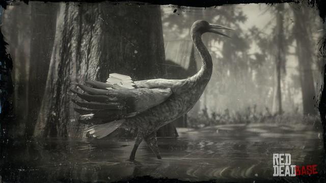 RDR2 Animal SandhillCrane