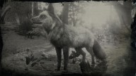 RDR2 Animal SilverFox