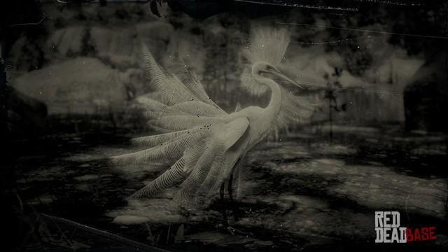 RDR2 Animal SnowyEgret