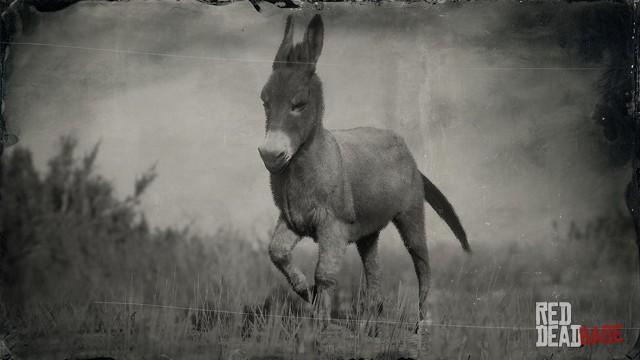RDR2 Animal StandardDonkey