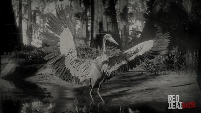 RDR2 Animal TricoloredHeron