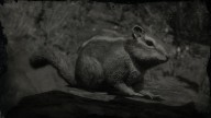 RDR2 Animal WesternChipmunk