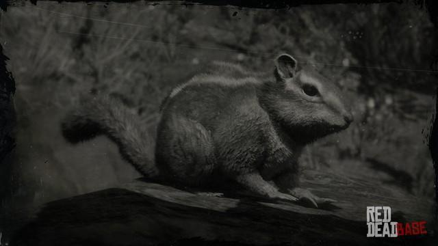 RDR2 Animal WesternChipmunk