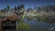 RDR2 Fish Bluegill 1