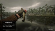 RDR2 Fish BullheadCatfish 1