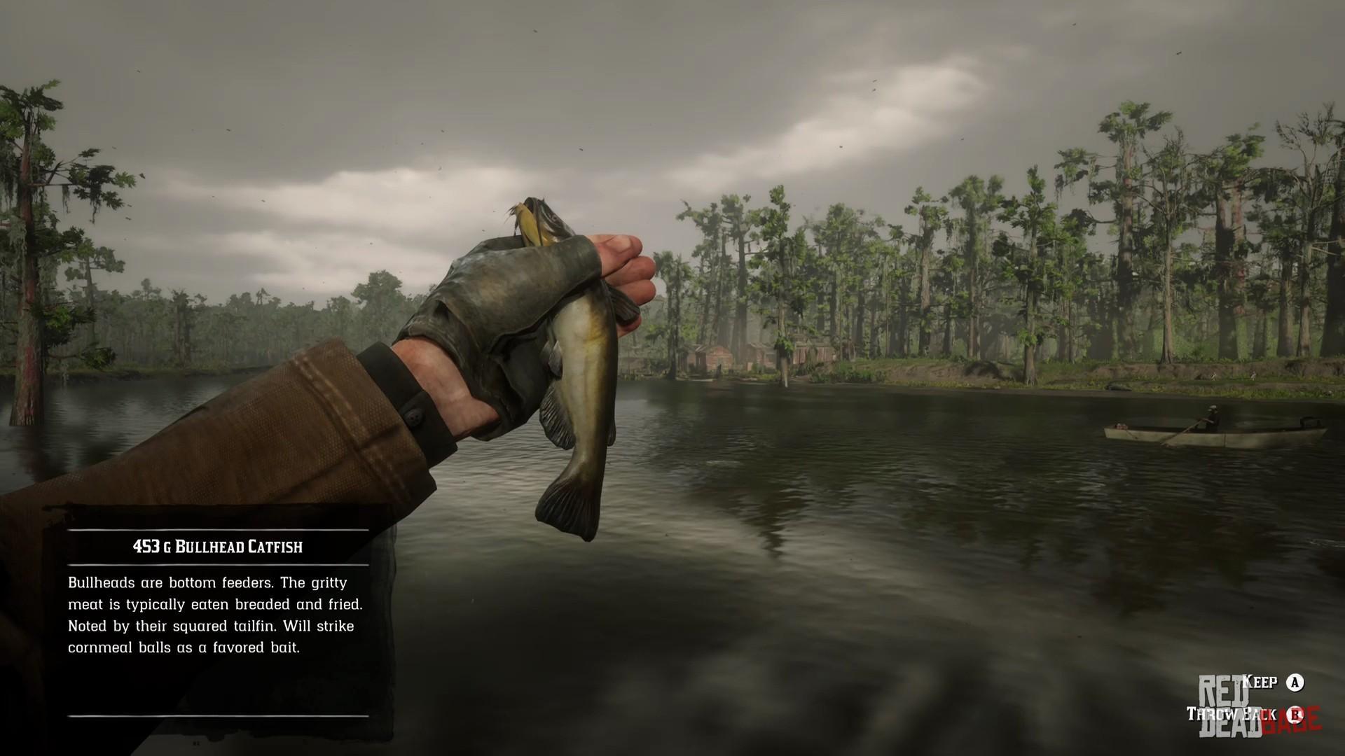 Легендарный сом. Rdr2 channel Catfish. Легендарный канальный сом rdr 2. Legendary giant Catfish РДР 2. Legendary Bullhead Catfish rdr2.