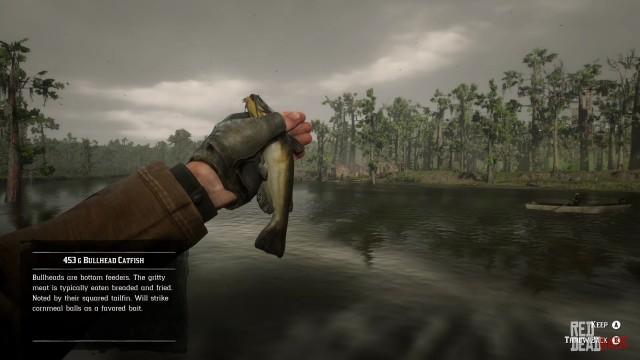 RDR2 Fish BullheadCatfish 1
