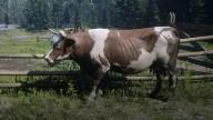 RDR2 Animal Cow