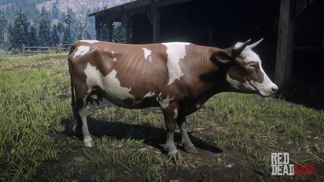 Florida Cracker Cow - RDR2 Animal