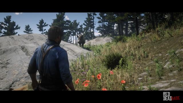 RDR2 Animal GiantBoar 1