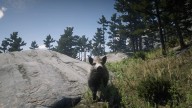 RDR2 Animal GiantBoar 2