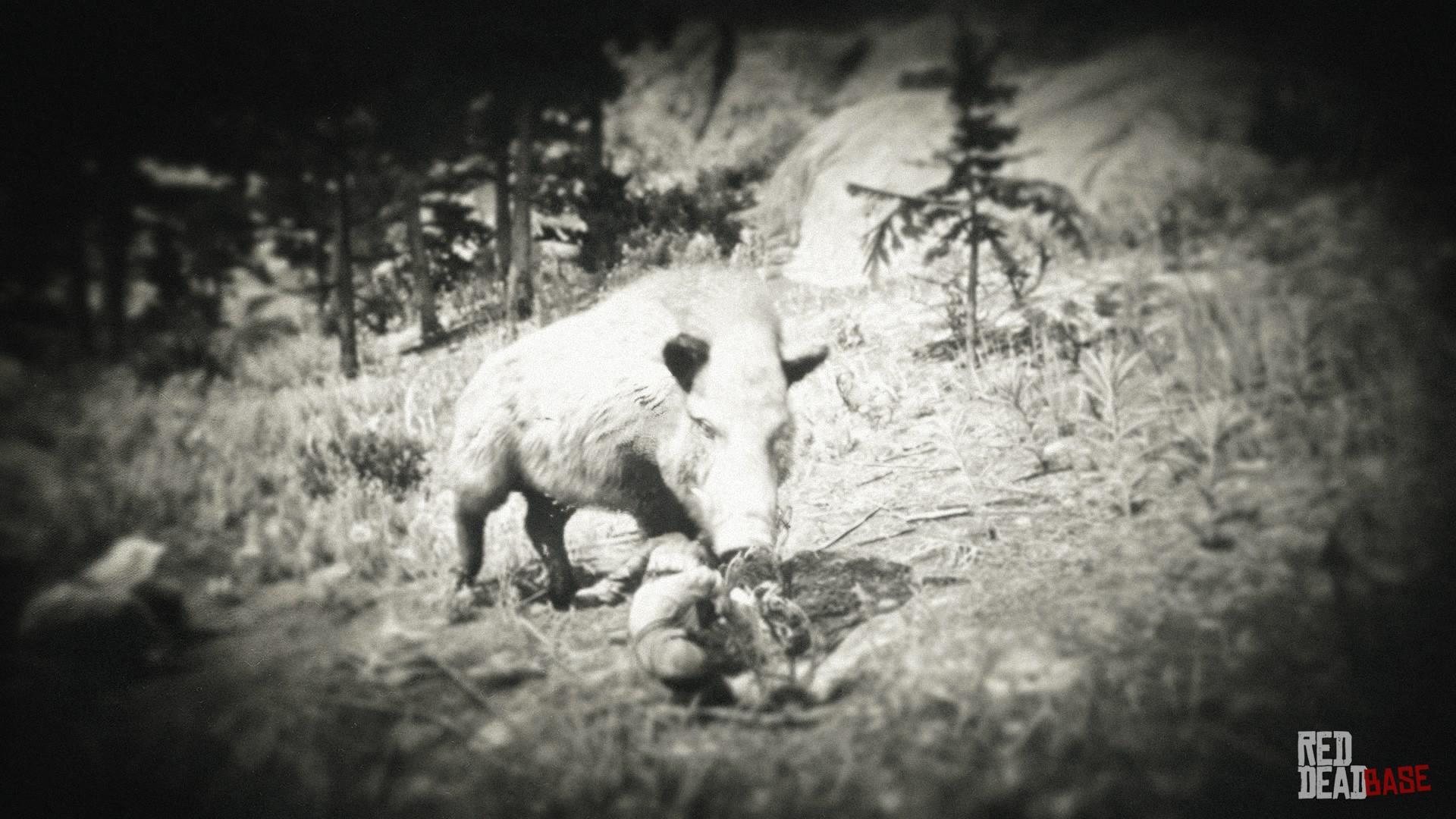 Giant Boar - Red Dead Redemption 2 Animals Species & Wildlife Database - Red Dead ...