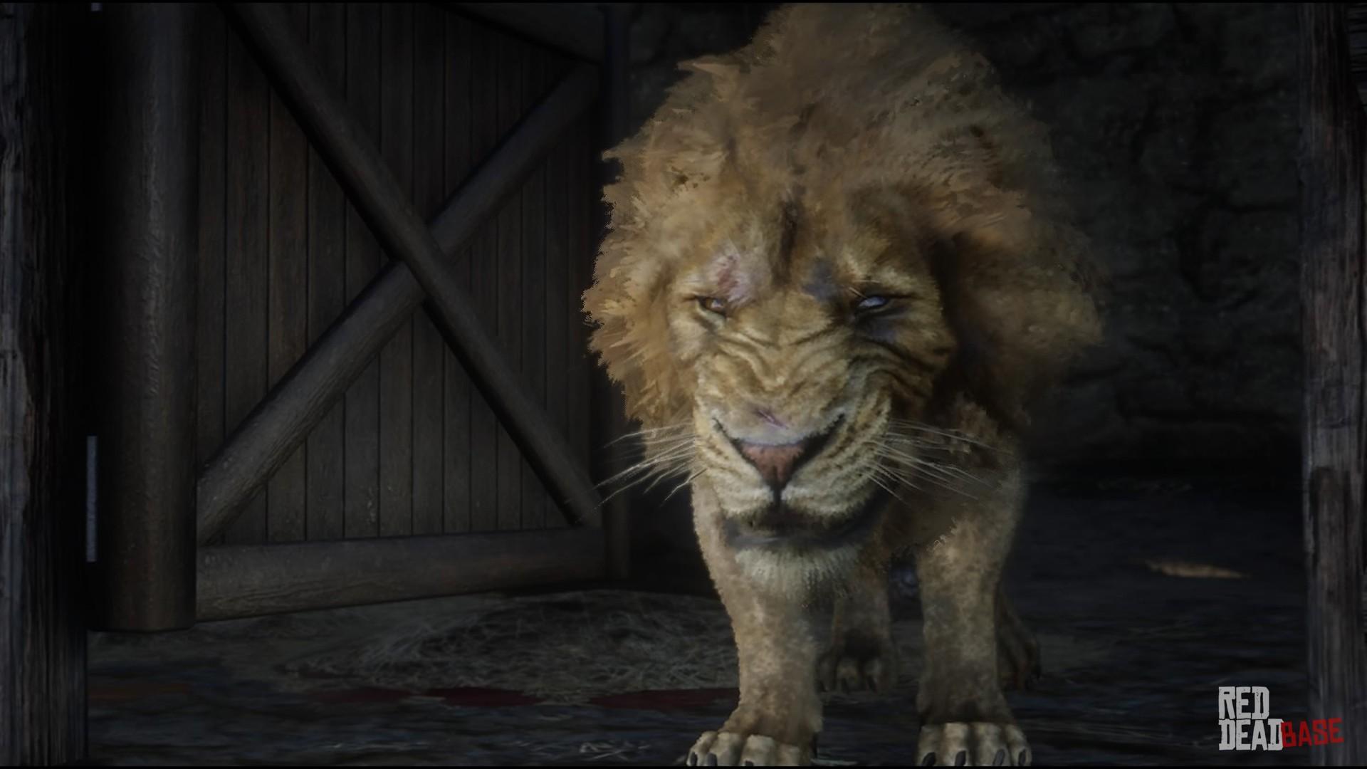 Lion Rdr2 Animals Map Location Where To Find In Red Dead Redemption 2