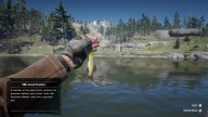 RDR2 Fish ChainPickerel 1