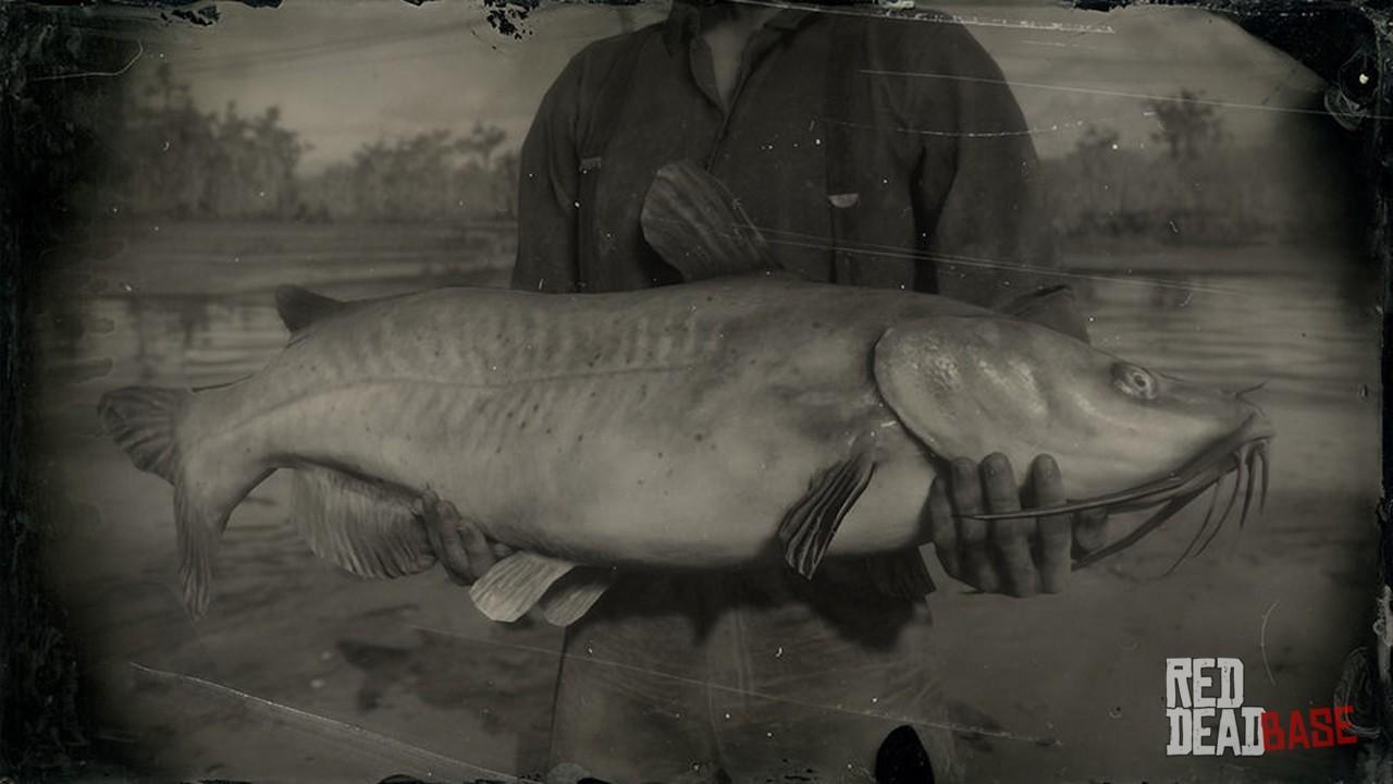 Channel Catfish, RDR2 Animals