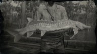 RDR2 Fish LakeSturgeon