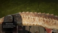 RDR2 Fish LakeSturgeon 2 1