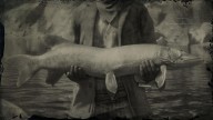 RDR2 Fish Muskie