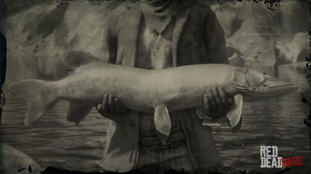 Muskrats Rdr2 Muskie | RDR2 Animals | Map Location & Where To Find