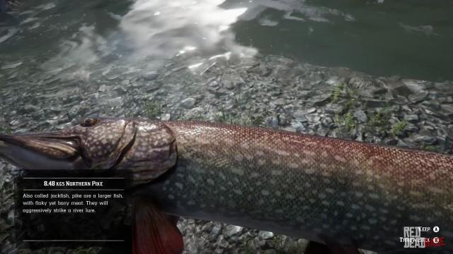 RDR2 Fish NorthernPike 2 1