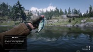 RDR2 Fish Perch 1