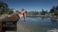 RDR2 Fish RedfinPickerel 1