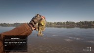 RDR2 Fish RockBass 1