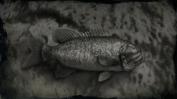 RDR2 Fish SmallmouthBass