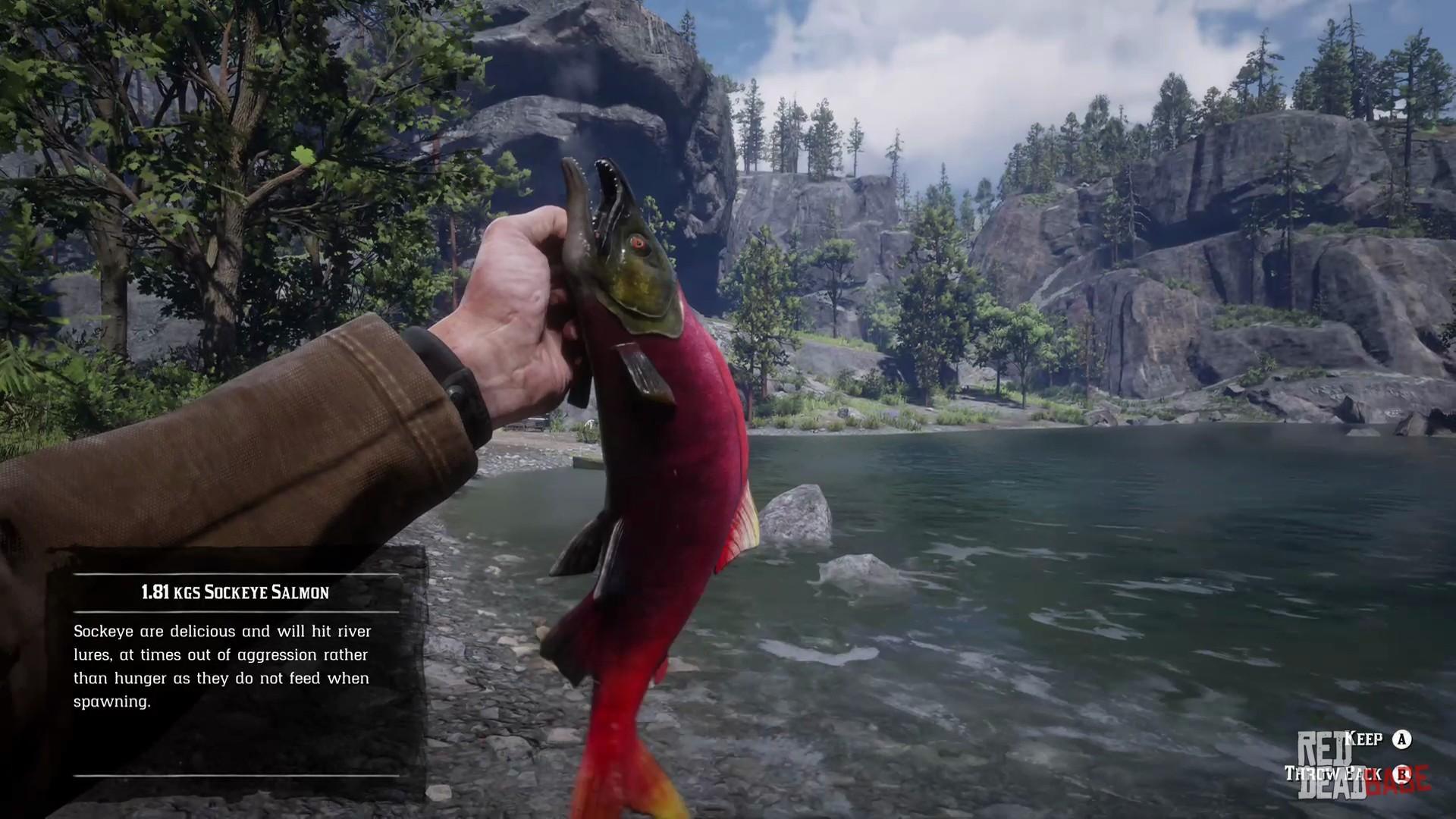 Sockeye Salmon RDR2 Animals Database Red Dead Redemption 2