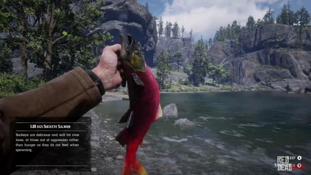 RDR2 Fish SockeyeSalmon 1