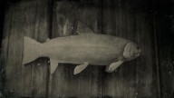 RDR2 Fish SteelheadTrout