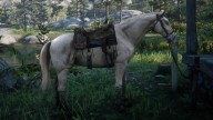 RDR2 Horses DutchWarmblood CremelloGoldDutchWarmblood 1