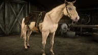 RDR2 Horses DutchWarmblood CremelloGoldDutchWarmblood 2