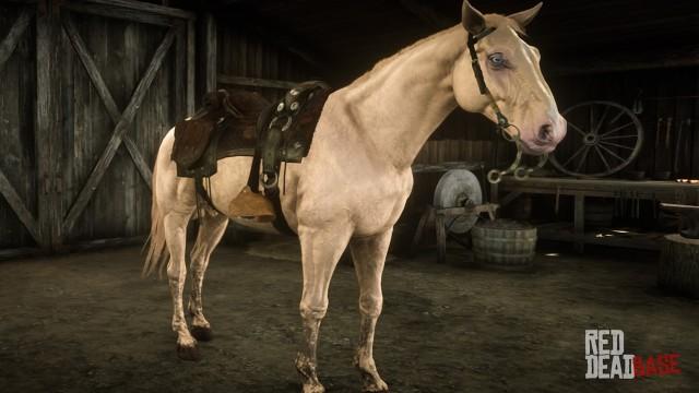 Cremello Gold Dutch Warmblood (Buell) - RDR2 Horse