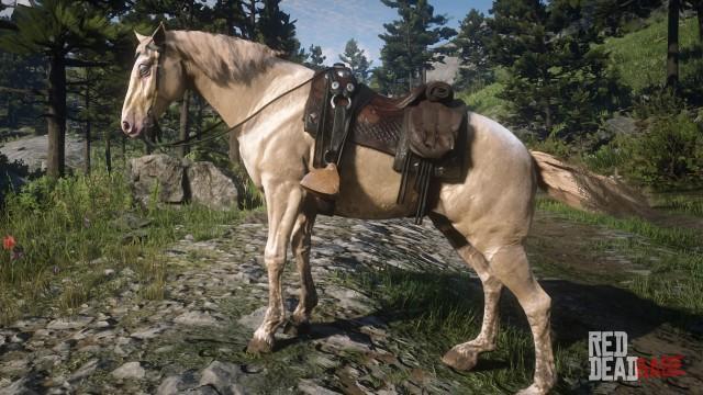 RDR2 Horses DutchWarmblood CremelloGoldDutchWarmblood 3