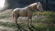 RDR2 Horses DutchWarmblood CremelloGoldDutchWarmblood 4