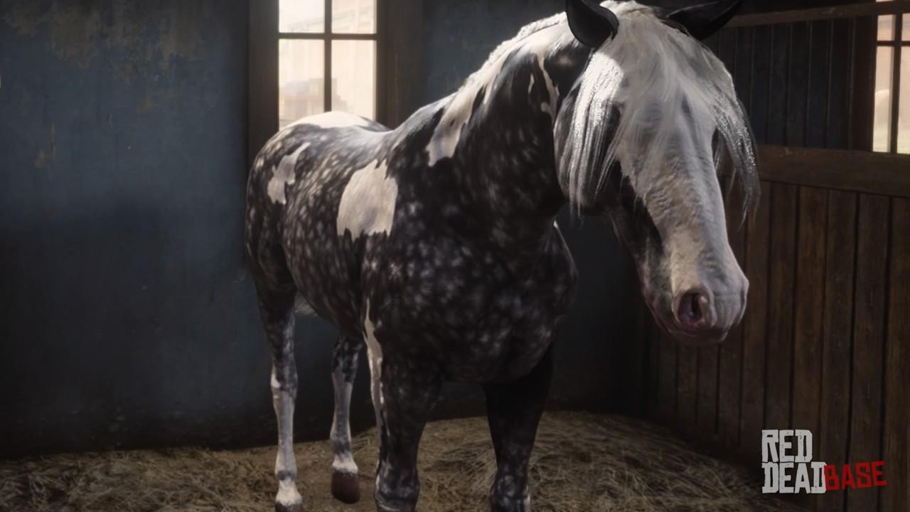 Silver Dapple Pinto Missouri Fox Trotter RDR2 Online Horse Stats Silver Dapple Pinto Missouri Fox Trotter RDR2 Online Horse Stats
