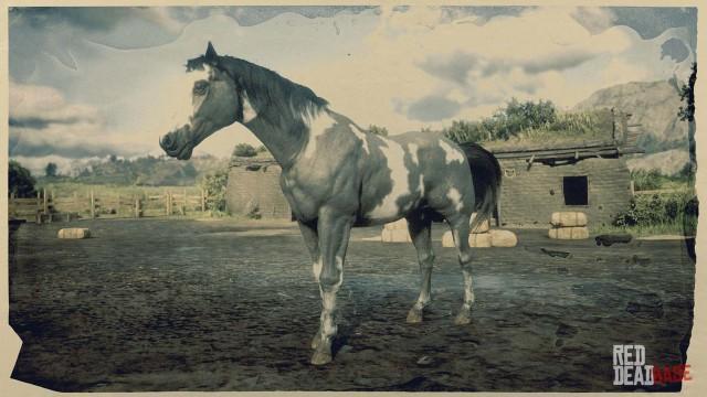 RDR2 Horse - Grey Overo American Paint Horse
