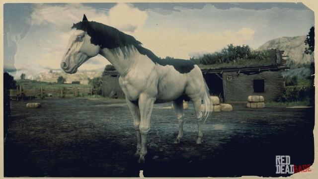 RDR2 Horse - Splashed White American Paint Horse