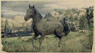 RDR2 Horses AmericanStandardbred BlackAmericanStandardbred 29