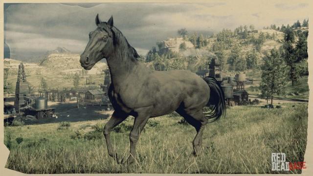 Black American Standardbred - RDR2 Horse