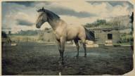 RDR2 Horses AmericanStandardbred BuckskinAmericanStandardbred 1