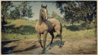 RDR2 Horses AmericanStandardbred BuckskinAmericanStandardbred 2