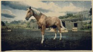 RDR2 Horses AmericanStandardbred PalominoDappleAmericanStandardbred 1