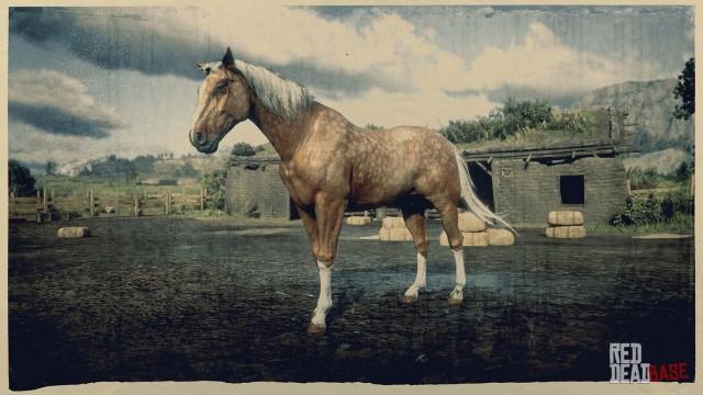 American Standardbred - RDR2 Horse Breed American Standardbred - RDR2 Horse Breed