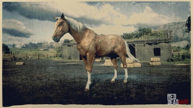 American Standardbred - RDR2 Horse Breed