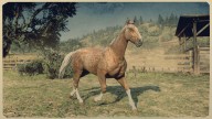 RDR2 Horses AmericanStandardbred PalominoDappleAmericanStandardbred 2