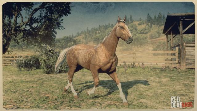 RDR2 Horses AmericanStandardbred PalominoDappleAmericanStandardbred 2