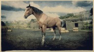 RDR2 Horses AmericanStandardbred SilverTailBuckskinAmericanStandardbred 1