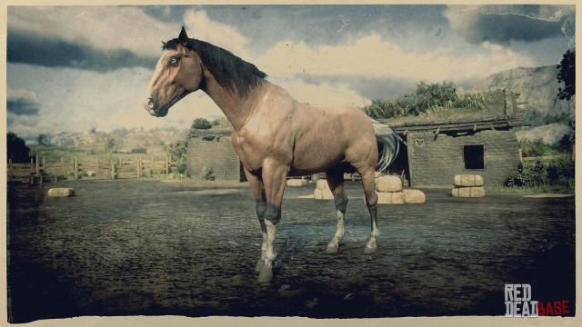 RDR2 Horses AmericanStandardbred SilverTailBuckskinAmericanStandardbred 1